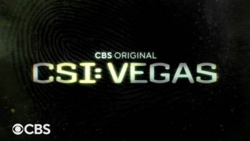 Image CSI: Vegas (2021)